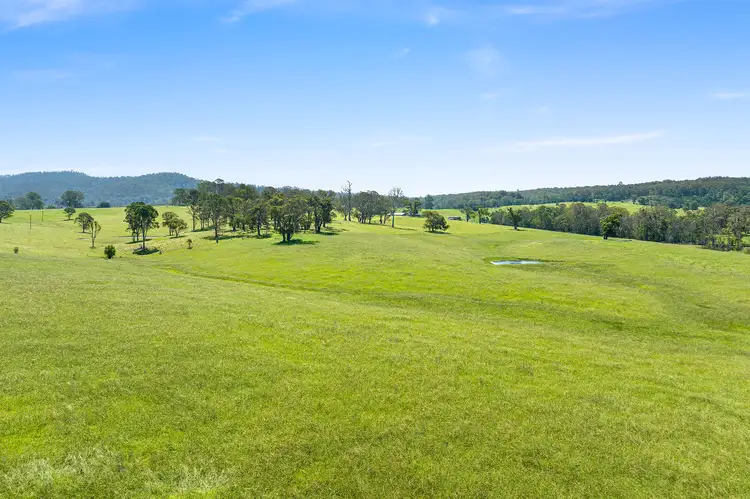 Second view of Homely land listing, 9859 PRINCES HIGHWAY, Cobargo NSW 2550