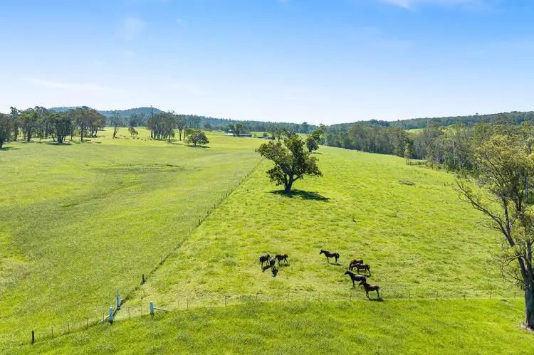Fourth view of Homely land listing, 9859 PRINCES HIGHWAY, Cobargo NSW 2550