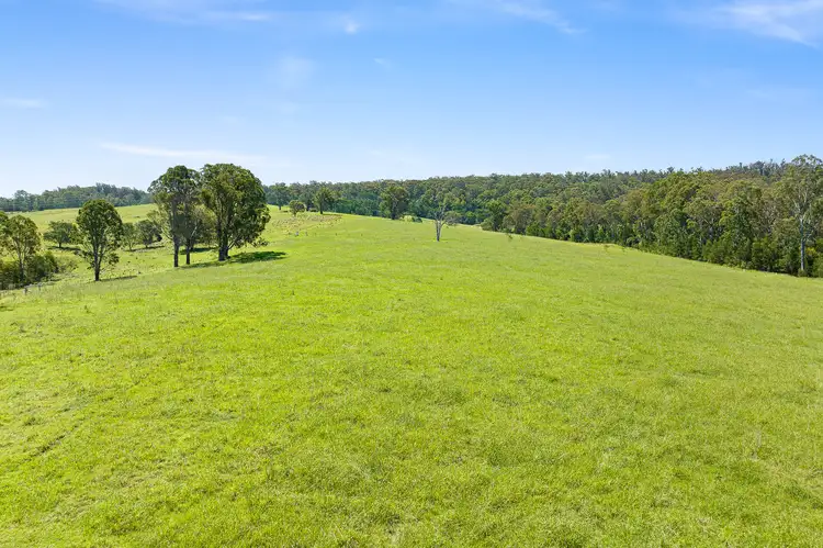 Fifth view of Homely land listing, 9859 PRINCES HIGHWAY, Cobargo NSW 2550