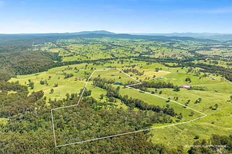Seventh view of Homely land listing, 9859 PRINCES HIGHWAY, Cobargo NSW 2550