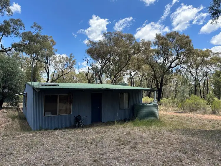 Main view of Homely rural property listing, 215 Werribee Road, Coolah NSW 2843