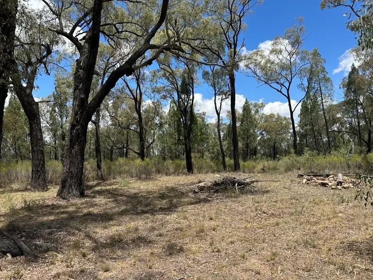 Third view of Homely rural property listing, 215 Werribee Road, Coolah NSW 2843