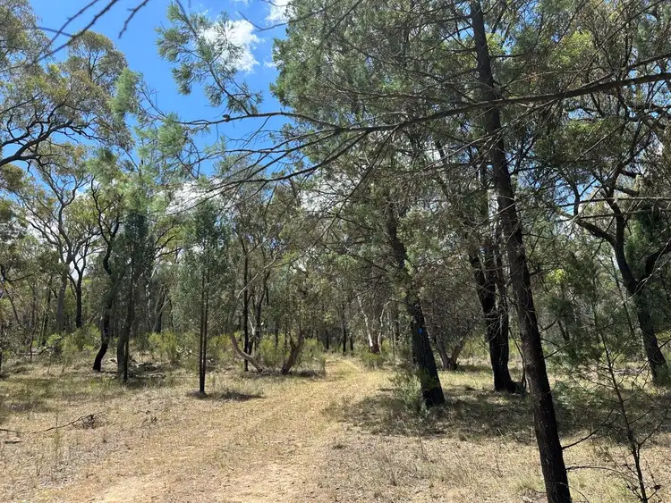Fourth view of Homely rural property listing, 215 Werribee Road, Coolah NSW 2843