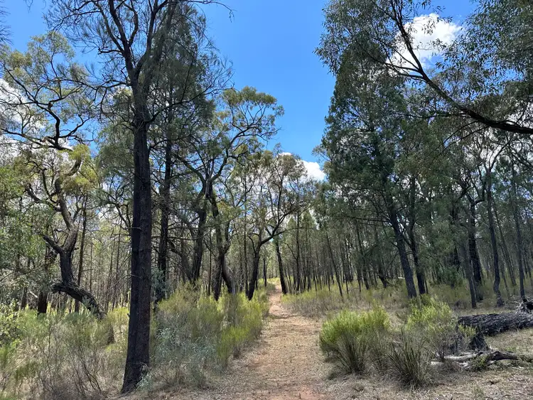 Sixth view of Homely rural property listing, 215 Werribee Road, Coolah NSW 2843