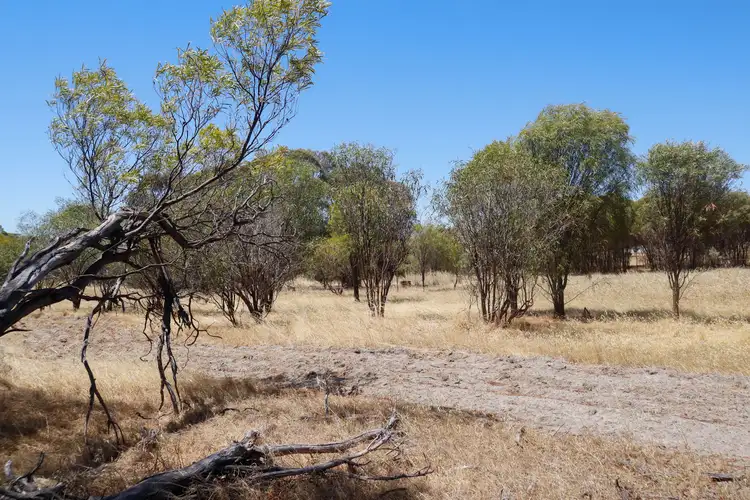 Fourth view of Homely land listing, 59 Munro Street, Cuballing WA 6311