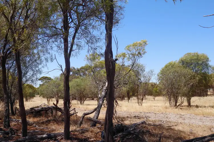 Sixth view of Homely land listing, 59 Munro Street, Cuballing WA 6311