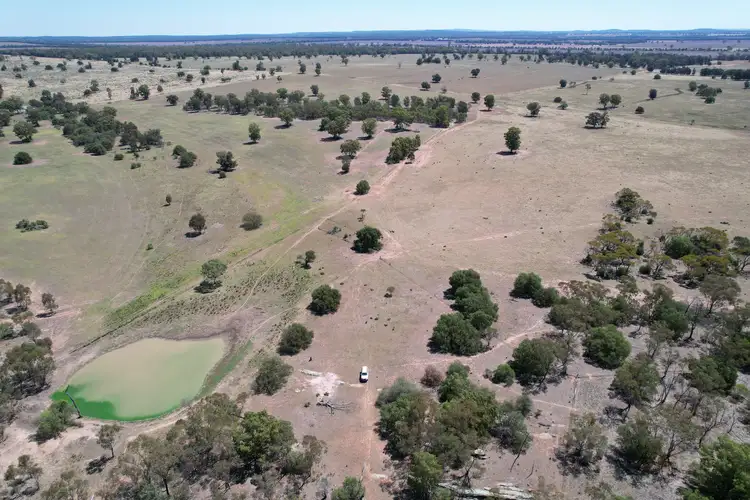 1 Belah Park Lane, "Belah Park", Peak Hill NSW 2869