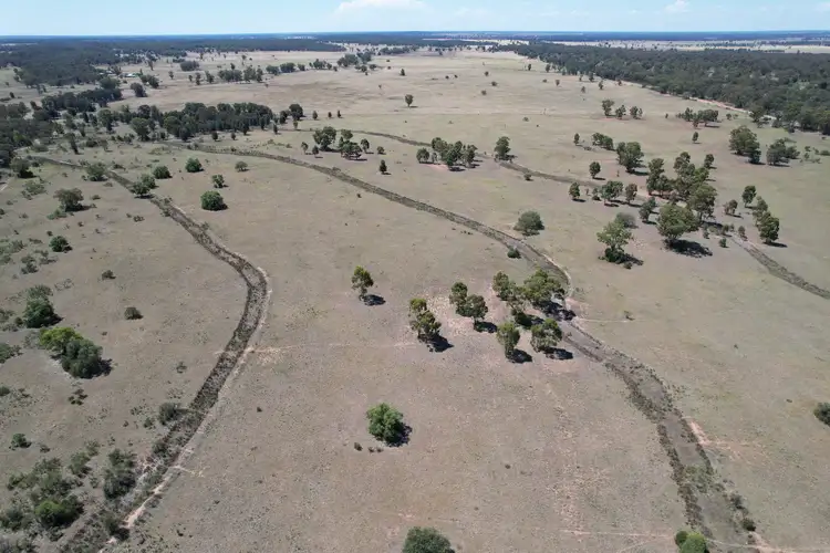 Second view of Homely rural property listing, 1 Belah Park Lane, "Belah Park", Peak Hill NSW 2869