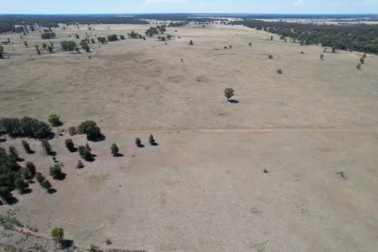 Third view of Homely rural property listing, 1 Belah Park Lane, "Belah Park", Peak Hill NSW 2869