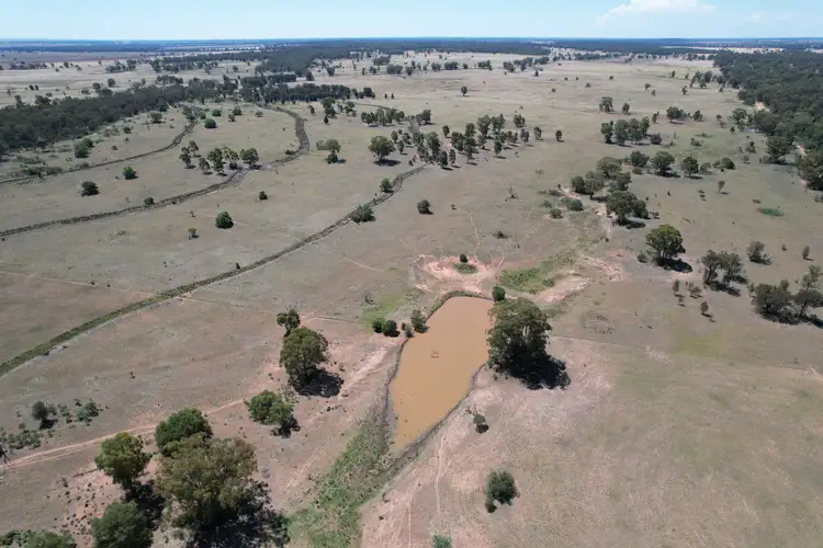 Fourth view of Homely rural property listing, 1 Belah Park Lane, "Belah Park", Peak Hill NSW 2869