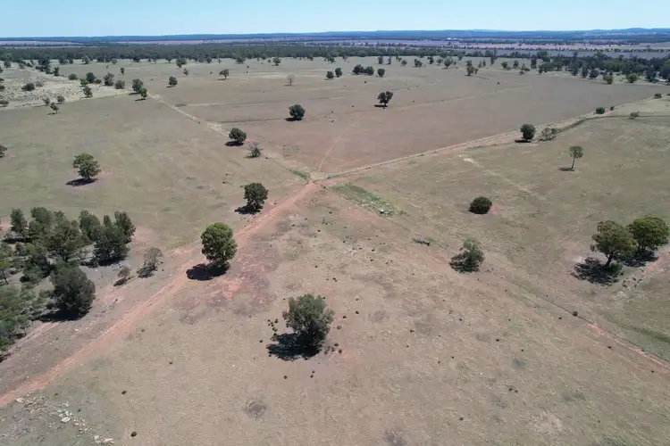 Fifth view of Homely rural property listing, 1 Belah Park Lane, "Belah Park", Peak Hill NSW 2869