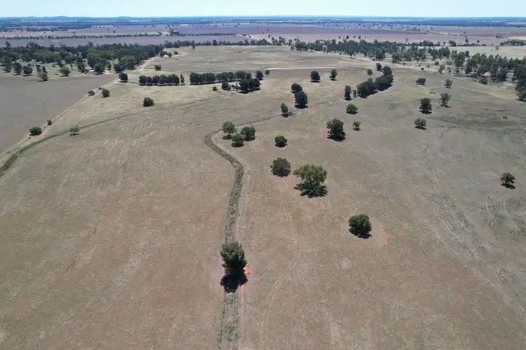 Sixth view of Homely rural property listing, 1 Belah Park Lane, "Belah Park", Peak Hill NSW 2869