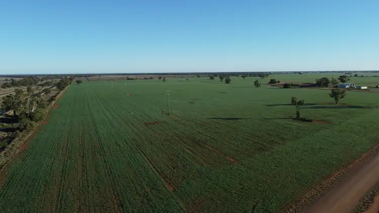Second view of Homely rural property listing, 555 Mitchell Highway, Nyngan NSW 2825