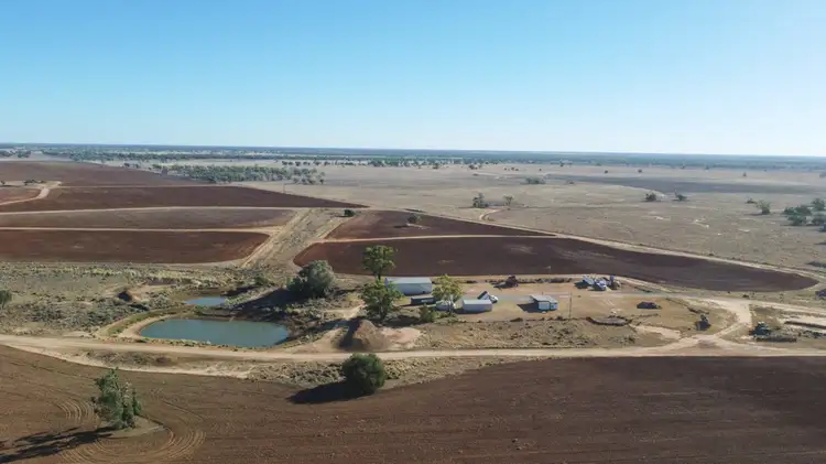 Fourth view of Homely rural property listing, 555 Mitchell Highway, Nyngan NSW 2825