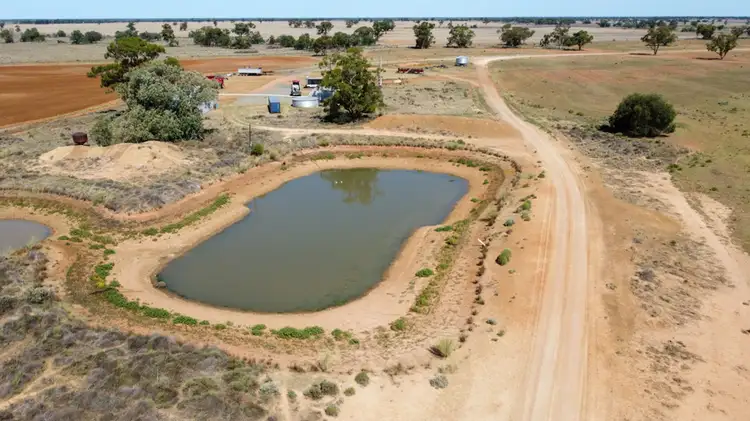 Fifth view of Homely rural property listing, 555 Mitchell Highway, Nyngan NSW 2825