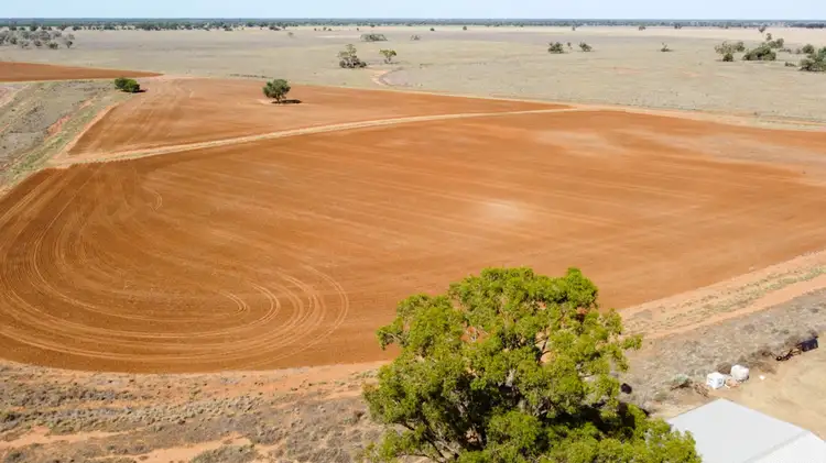 Sixth view of Homely rural property listing, 555 Mitchell Highway, Nyngan NSW 2825