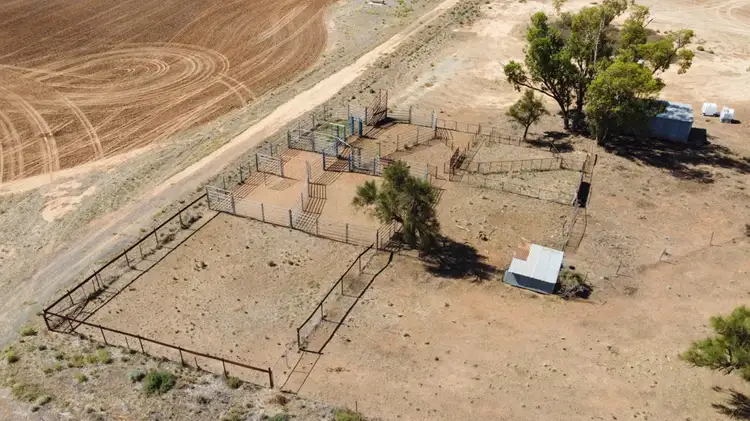 Seventh view of Homely rural property listing, 555 Mitchell Highway, Nyngan NSW 2825