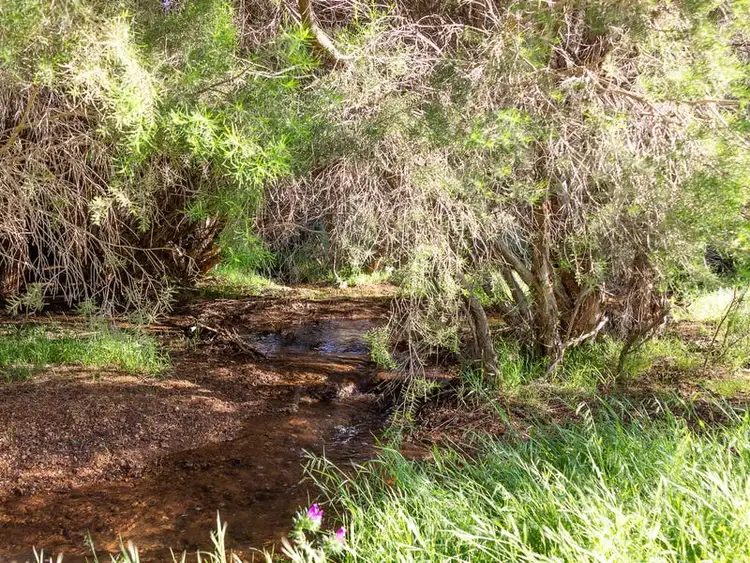 Sixth view of Homely land listing, 788 Campersic Road, Brigadoon WA 6069
