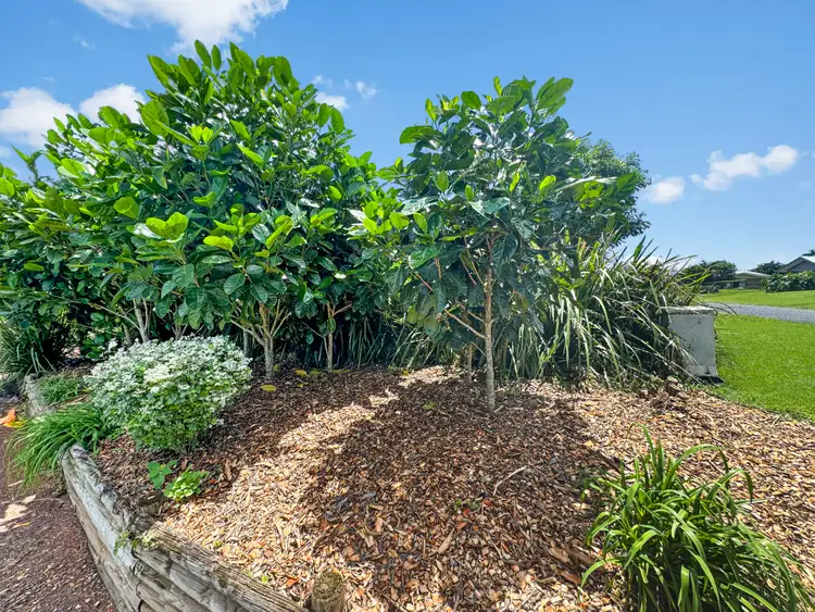 Fifth view of Homely house listing, 14 Storer Street, Atherton QLD 4883