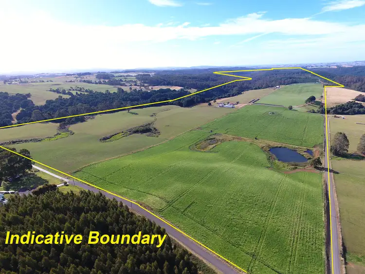 Fifth view of Homely rural property listing, 245 Smarts Road, Mount Hicks TAS 7325