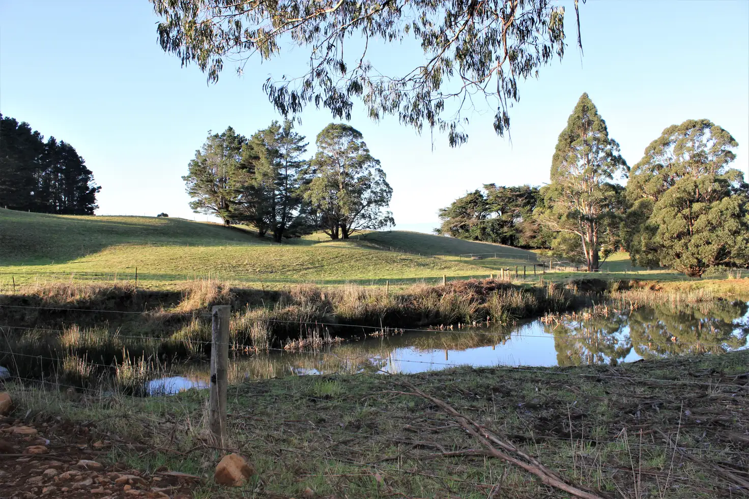 Main view of Homely rural property listing, LOT 1 Murchison Highway, Yolla TAS 7325