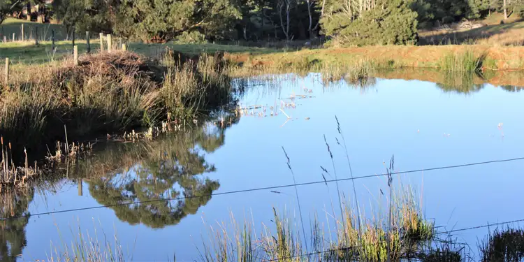 Fourth view of Homely rural property listing, LOT 1 Murchison Highway, Yolla TAS 7325