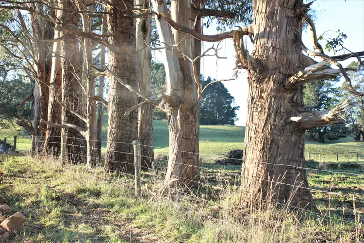 Sixth view of Homely rural property listing, LOT 1 Murchison Highway, Yolla TAS 7325