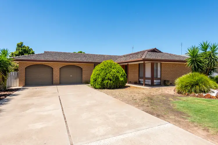 10 Upper Roy Street, Jeparit VIC 3423