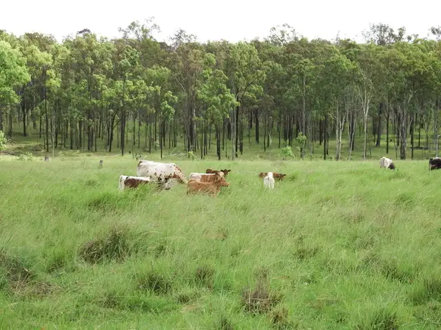 Second view of Homely rural property listing, 50 Mt Hope Road, Booie QLD 4610