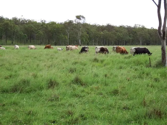 Third view of Homely rural property listing, 50 Mt Hope Road, Booie QLD 4610