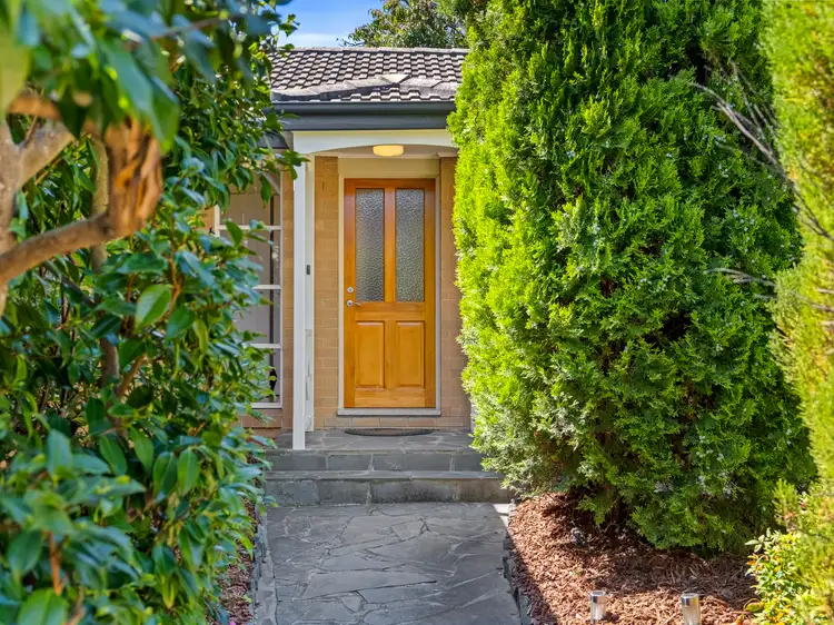 Main view of Homely house listing, 14 Curlewis Crescent, Garran ACT 2605