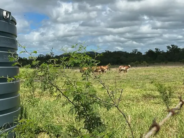 Second view of Homely land listing, LOT 165 Flaggy Creek Rd, Westwood QLD 4702