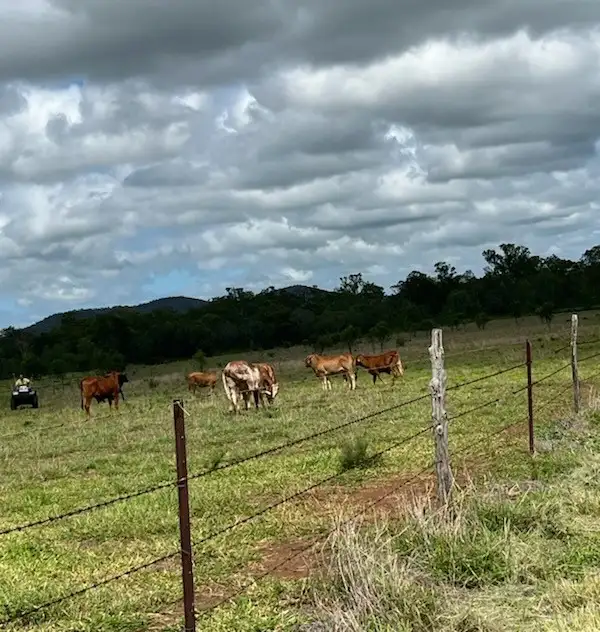 Third view of Homely land listing, LOT 165 Flaggy Creek Rd, Westwood QLD 4702