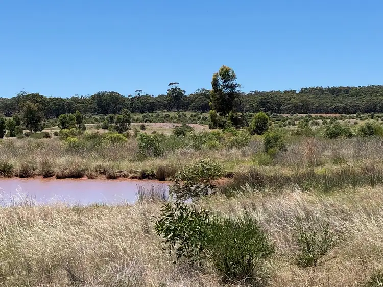 Fifth view of Homely land listing, 88 Wychitella Road, Wychitella VIC 3525