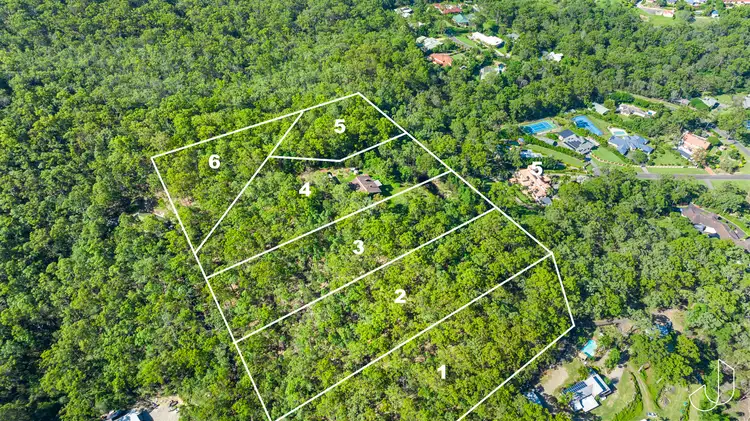 Sixth view of Homely rural property listing, 117 Crane Crescent, Nerang QLD 4211