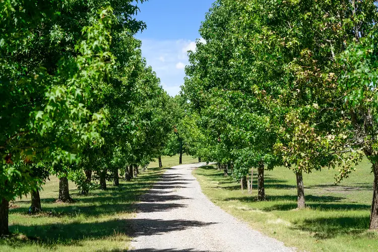 Second view of Homely rural property listing, 1421 Tugalong Road, Canyonleigh NSW 2577