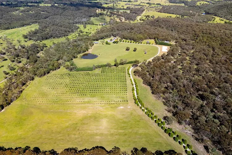 Fifth view of Homely rural property listing, 1421 Tugalong Road, Canyonleigh NSW 2577