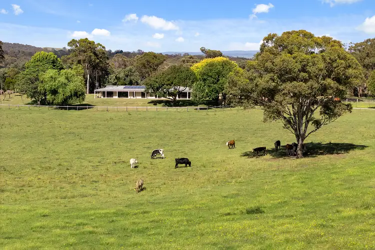 Sixth view of Homely rural property listing, 1421 Tugalong Road, Canyonleigh NSW 2577