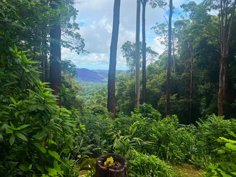 Second view of Homely rural property listing, 228 Newton Drive, Nimbin NSW 2480