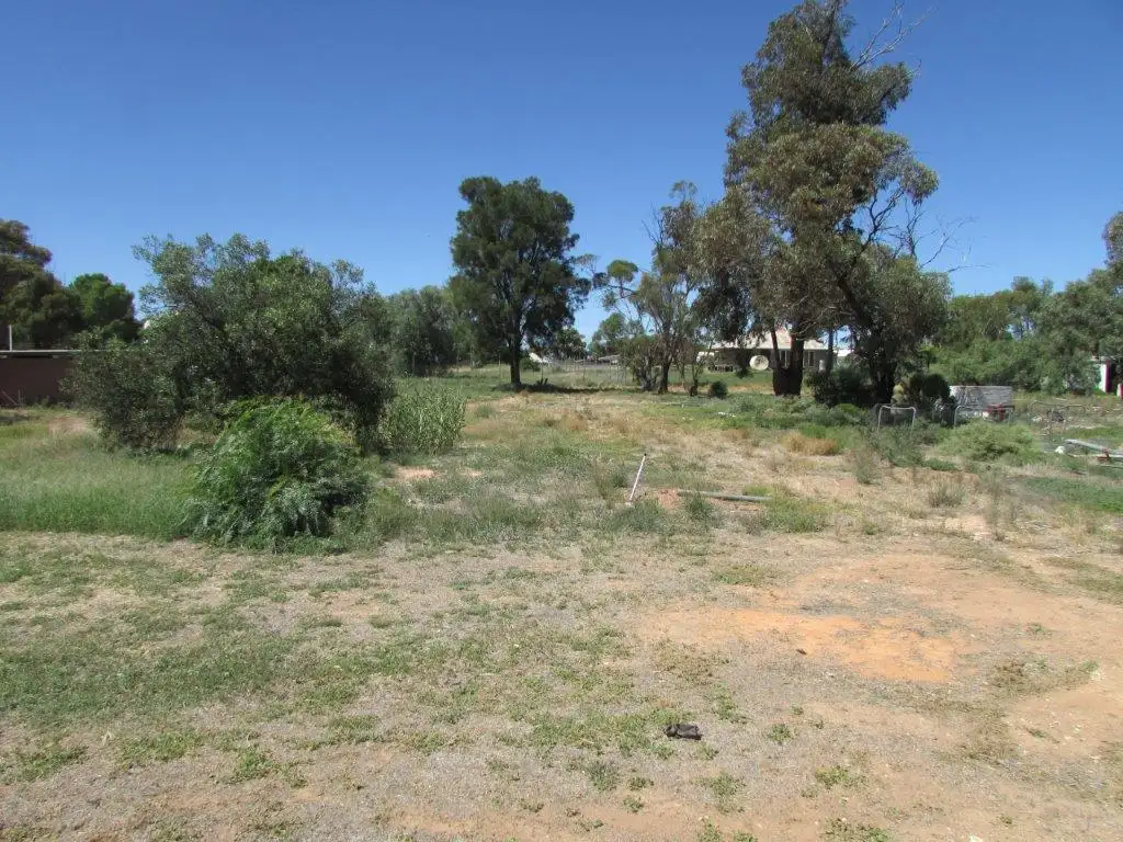 Main view of Homely land listing, 37 Algerian Street, Patchewollock VIC 3491