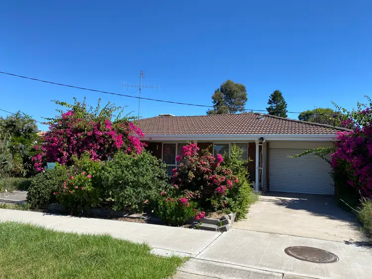 Main view of Homely house listing, 38 Broadway, Jeparit VIC 3423