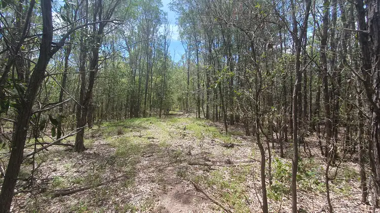 Main view of Homely rural property listing, 41 Devereaux Drive, Tarong QLD 4615