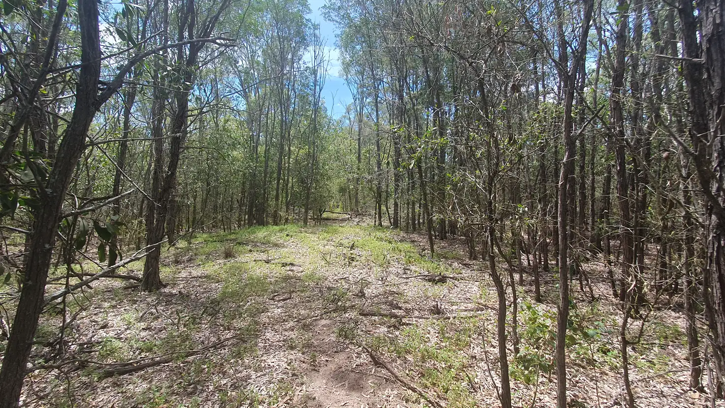 Main view of Homely rural property listing, 41 Devereaux Drive, Tarong QLD 4615