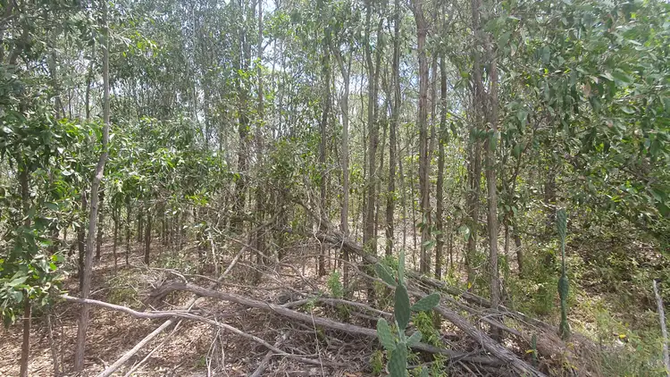 Third view of Homely rural property listing, 41 Devereaux Drive, Tarong QLD 4615