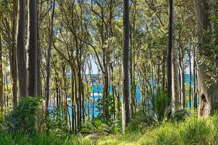 13 Dale Place, Rosedale NSW 2536