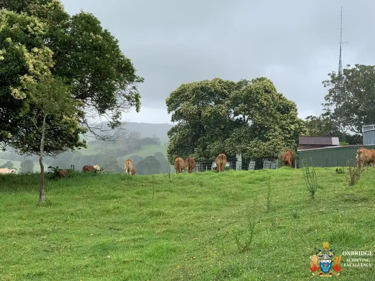 Third view of Homely land listing, 1153 Mount Mee Road, Mount Mee QLD 4521