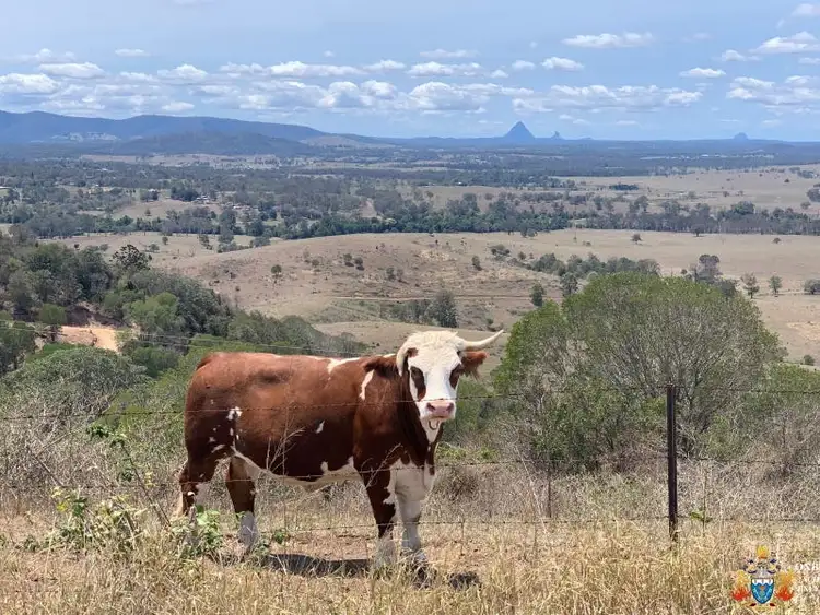 Fourth view of Homely land listing, 11A Alma Court, Villeneuve QLD 4514