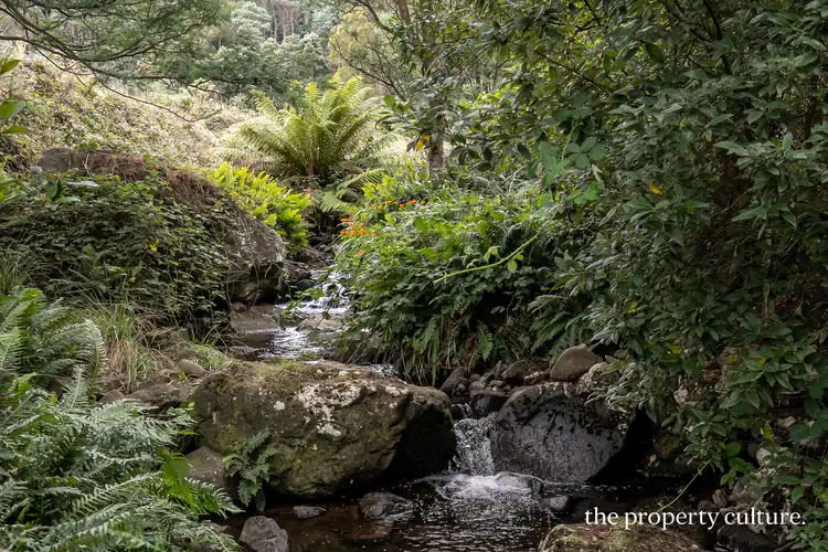 Second view of Homely house listing, 348 Bakers Creek Road, Lucaston TAS 7109