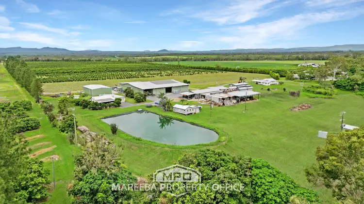 Fourth view of Homely rural property listing, 4283 Kennedy Highway, Mareeba QLD 4880