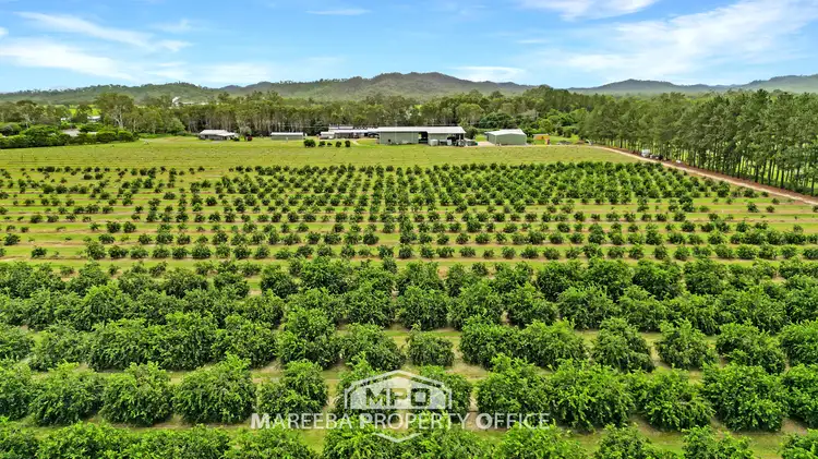 Fifth view of Homely rural property listing, 4283 Kennedy Highway, Mareeba QLD 4880